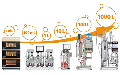 От идеи до масштаба: плавный переход от колбы к настольному биореактору