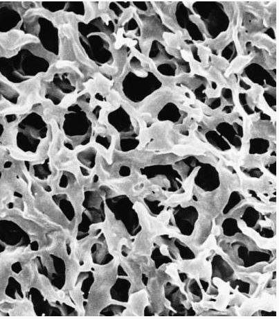 Мембрана, d пор 0,22 мкм, d мембраны 47 мм, смешанные эфиры целлюлозы (MCE Grid), гидрофильная, стерильная, 100 шт