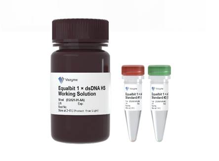 Набор для количественного определения ДНК Equalbit 1x dsDNA HS (High Sensitivity) Assay Kit, Vazyme, Китай