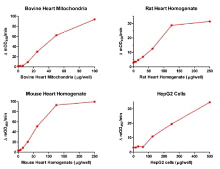 Набор для определения активности пируватдегидрогеназы в микропланшетах, 96 тестов, Abcam
