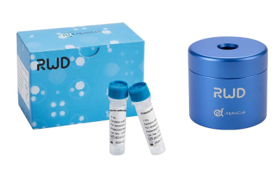 Негативная сепарация клеток без негатива: наборы RWD для негативной магнитной сепарации клеток