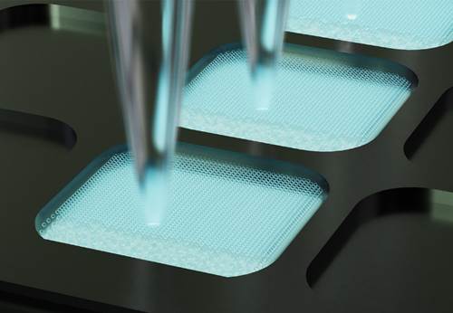 Система цифровой ПЦР D600 Digital PCR Analysis System, 6-канальная, Maccura, Китай