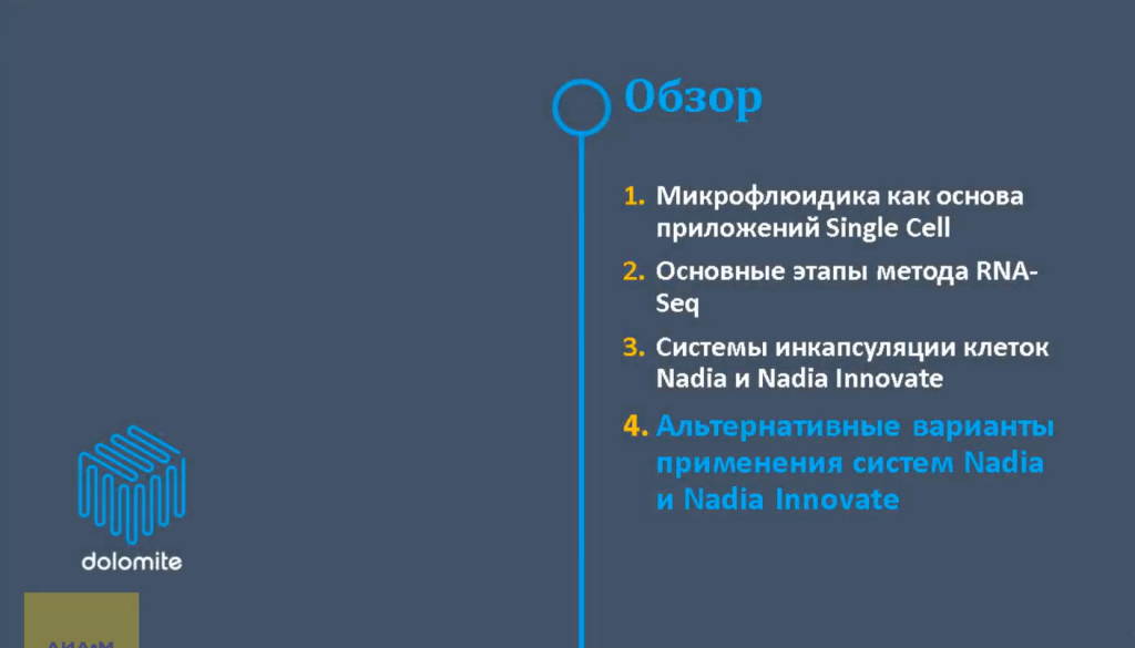 Обзор-2