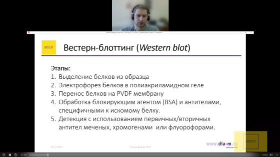 Блоттинг – это просто! Особенности применения готовых полиакриламидных гелей. Обзор эргономичной камеры для вертикального электрофореза Mini Gel Tank, Thermo FS