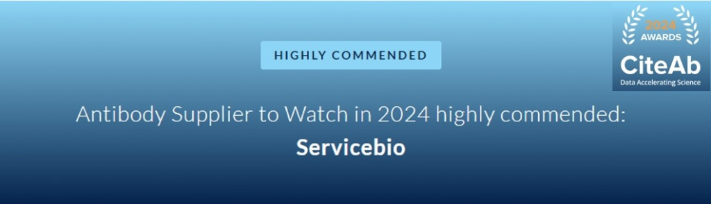 Servicebio были удостоены награды CiteAb 2024 Качество антител Servicebio подтверждено тщательным контролем качества на производстве, и благодаря этому в 2024 году антитела Servicebio были удостоены награды CiteAb 2024.