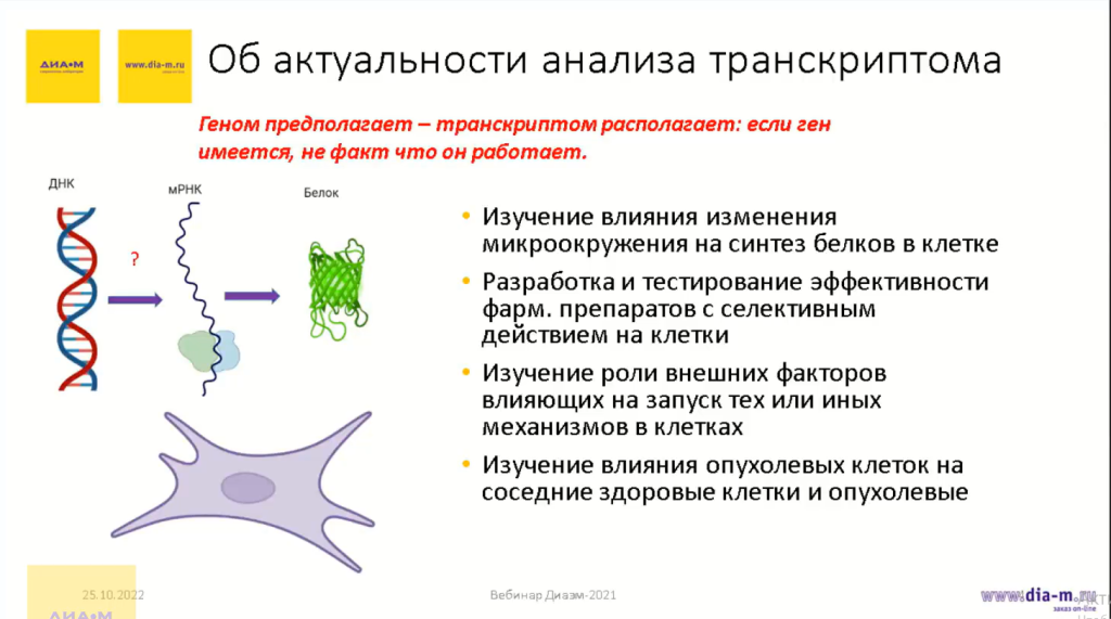 Об актуальности анализа транскриптома