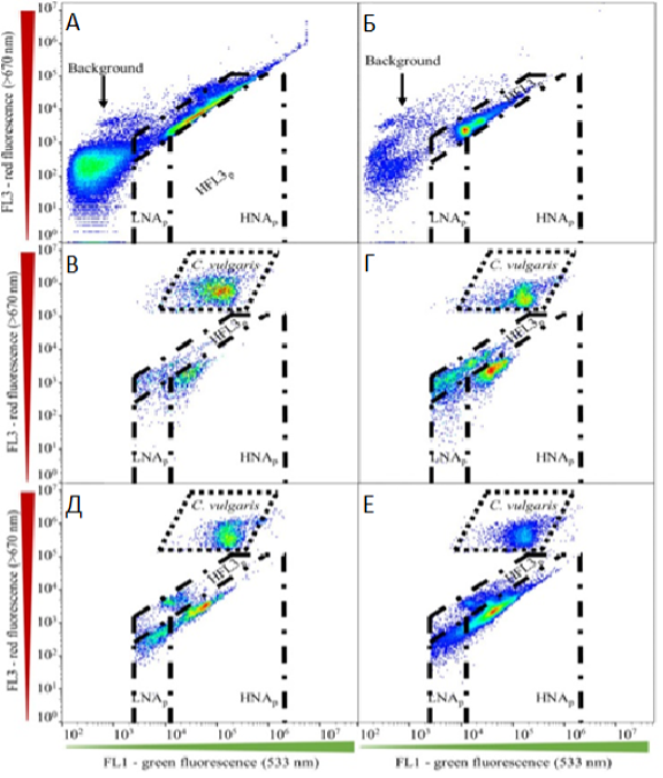График плотоности (dual-density-plots) в зеленом (FL1, (533нм)) и красном (FL3,(670нм) флуоресцентном канале.