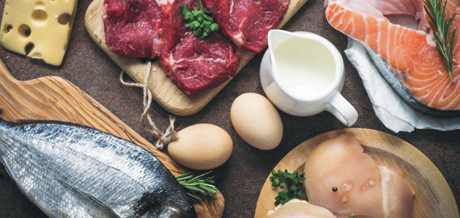 Диоксины — это группа опасных техногенных загрязнителей (экотоксикантов), которые образуются как побочные продукты при сжигании отходов, в металлургии и химической промышленности.