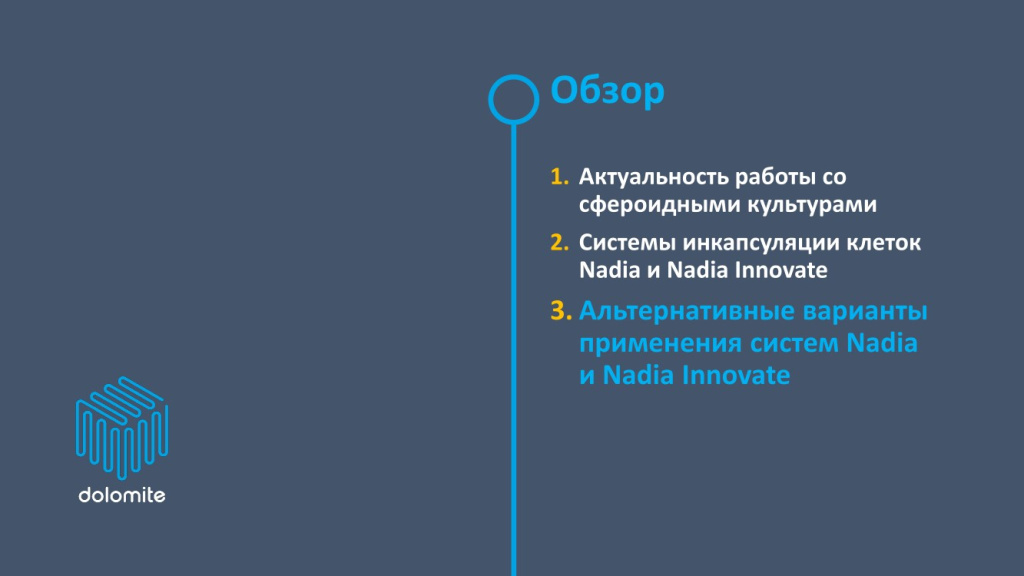 Обзор