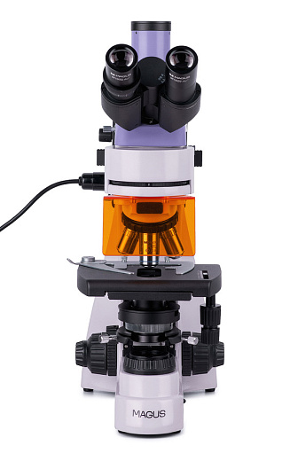 Микроскоп люминесцентный Magus Lum 400, прямой, тринокуляр, СП, ТП, планахромат 4×, 10×, 40×, 100× (вид спереди)