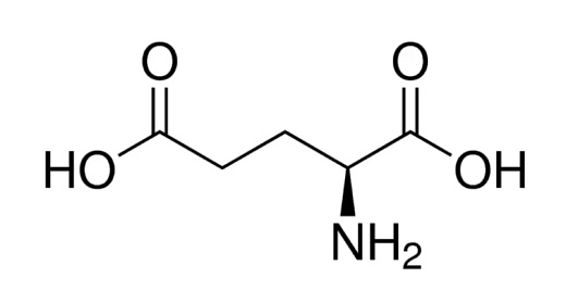 Глутаминовая- L кислота, ≥ 99%, Servicebio, 100 г