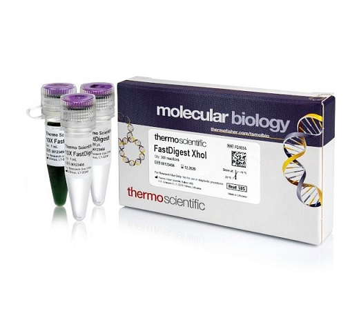 Эндонуклеаза рестрикции XhoI Fast Digest