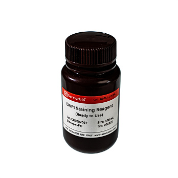 ДАПИ/DAPI, раствор, 2 мкг/мл, готовый к использованию, (2μg/mL, Ready to Use) Servicebio, Китай