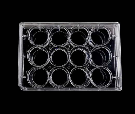 Планшеты культуральные 6 – 96-лун., поверхность ТС, Servicebio, Китай