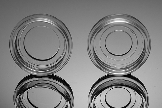 Чашка Петри 35 мм, со стеклянной вставкой 20 мм, стерильные, 10 шт./уп., 200 шт/кор., NEST, Китай