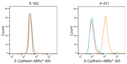 Антитела Anti-Rabbit IgG (H+L) козьи, поликлональные, коньюгированые с ABflo 408, проточный цитометрический анализ