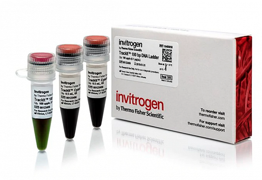Маркер длин ДНК TrackIt 100 bp, 13 фрагментов от 100 до 2000 п.н.; готовый к применению; 0,1 мкг/мкл Фото 2