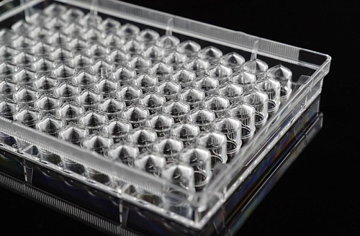 V-образное дно планшетов культуральных 96-лун. (крупный план), Nest, Китай