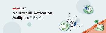 Набор ИФА arigoPLEX Human CTL / NK Activation (Perforin, Granzyme B, IFN-γ, TNF-α), 96 тестов, Arigobio, Китай