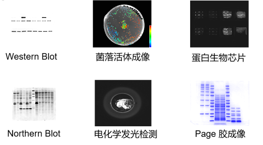 Гель- и хемидокументирующая система Chemi Dog 5200T, тачскрин, Tanon