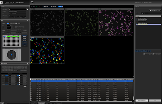 Система многопараметрического анализа клеток Celena X, до 4 каналов детекции, Logos Biosystems (интерфейс)