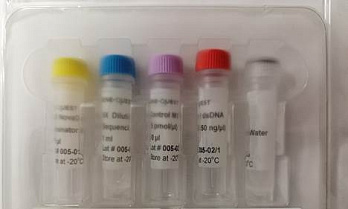 Набор для циклического секвенирования по Сэнгеру NovaDye Terminator Cycle Sequencing Kit v3.1, Россия