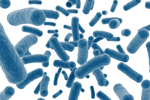 Экстракт дрожжевой, аминный азот ≥ 4,0%, (FM808), порошок