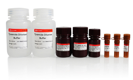 Набор для тройного флуоресцентного окрашивания TSAPLus, Servicebio, Китай