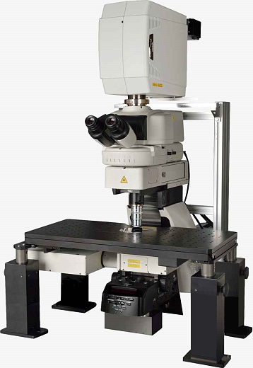 Микроскоп Eclipse Ni-U, прямой,  СП, ТП, ФК, флуоресценция, чувствительная цветовая и простая поляризация, ДИК, 10x/22, 10x/25, 12,5x/16 и 15х/14,5 Nikon