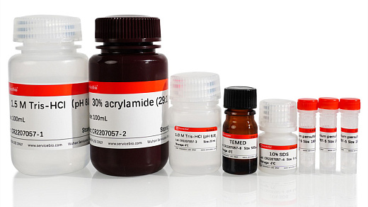 Набор реагентов для заливки гелей SDS-PAGE Gel Kit, 50 гелей, Servicebio, Китай