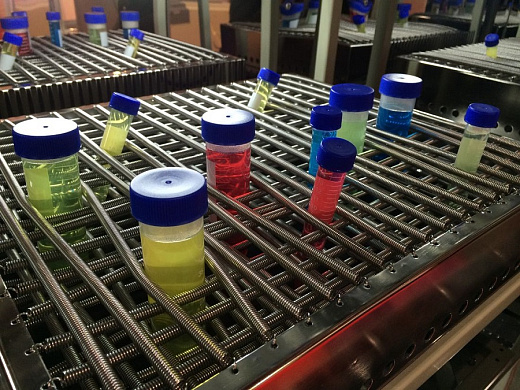 Универсальный пружинный поддон для двухъярусных моделей, Labwit