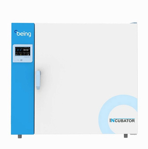 Термостат, до +80 °С, 222 л, камера из нержавеющей стали, LCD контроллер, естественная вентиляция, Being, Китай