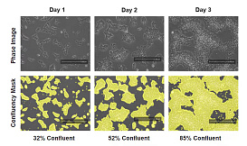 Измерение плотности клеточной культуры в режиме реального времени