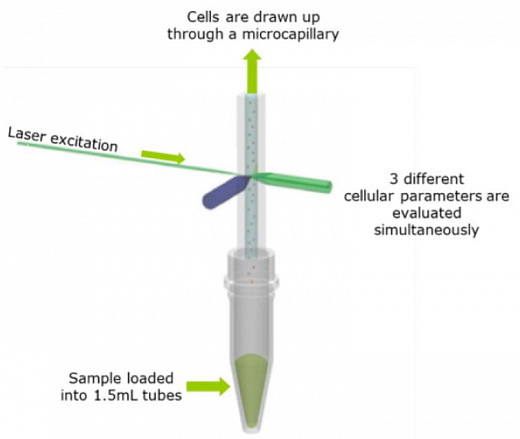 Проточный цитофлуориметр, 1 лазер, 2 флуоресцентных параметра, Muse Фото 2