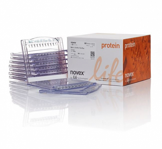NW00100BOX Гель полиакриламидный Bolt Bis-Tris Mini Protein Gel, 8 х 8 см, 10 лунок, 10%, 10 шт./уп.,Thermo FS