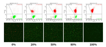 Набор для оценки жизнеспособности бактерий и дрожжей Live or Dead Bacterial/Yeast Viability Kit (SYTO-9/PI), Servicebio, Китай