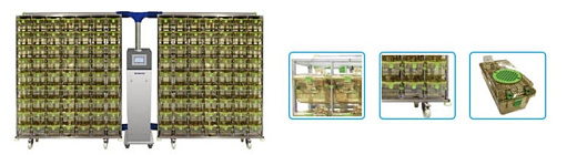 Система для мышей (Mouse IVC)