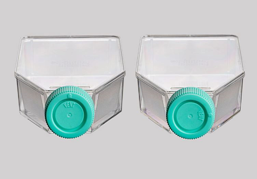 Флаконы культуральные, вентилируемая крышка, обработанная поверхность (CellATTACH), полистирол, стерильные