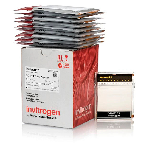 Гель агарозный готовый E-GEL EX, 2%, 10 шт./уп.