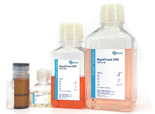 RapidTrans CHO Kit для транзиентной трансфекции CHO, Bioengine, Китай