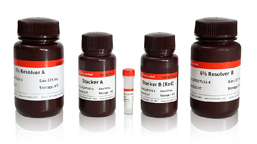 Наборы реагентов для заливки гелей 6%, 8%, 10%, 12% или 15% SDS-PAGE красного цвета, 50 гелей, Servicebio, Китай