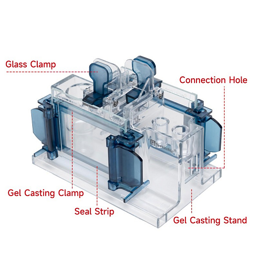 Стенд для заливки гелей, для заливки 2х гелей 83×73 мм, с 2-мя комплектами стекол и гребенок, Servicebio, Китай