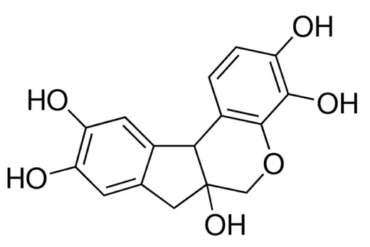 Гематоксилин сухой, для микробиологии, Компания Элемент