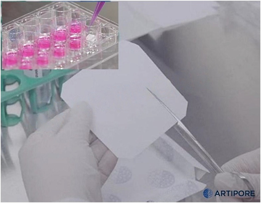 Биосовместимая нановолокнистая подложка на основе гидрогеля NanoFibers, толщина подложки 30 мкм