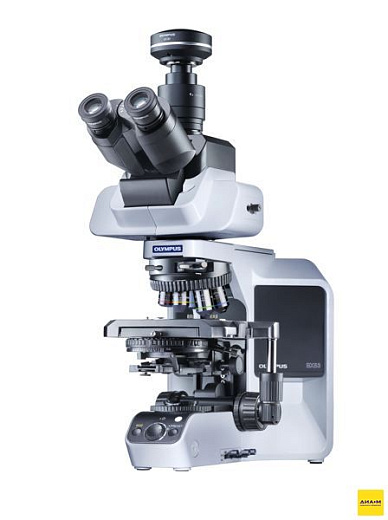 Микроскоп BX-53, прямой, ахромат, СП, ТП, ФК, ДИК, флуоресценция, поляризация, 40x 100x 400x 1000x