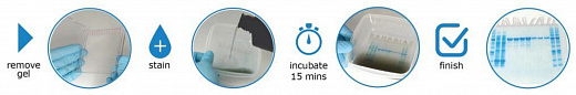 Краситель для белкового фореза InstantBlue Coomassie Protein Stain Фото 2