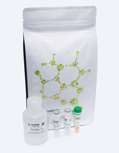 Набор для количественного определения одноцепочечной ДНК, 100 реакций, QuDye