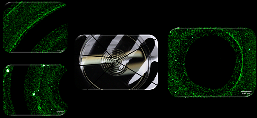 Набор для 3D биопринтера Tissue Layering Bioink Kit Фото 2