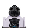 Микроскоп Magus Bio 270T, прямой, тринокуляр, СП, ТП, ФК, Пол, планахромат 4×, 10×, 40×, 100×МИ Фото 10