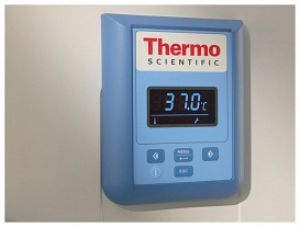 Термостат, до +75 °С, 75 л, естественная вентиляция, IGS60 General Protocol, Thermo FS